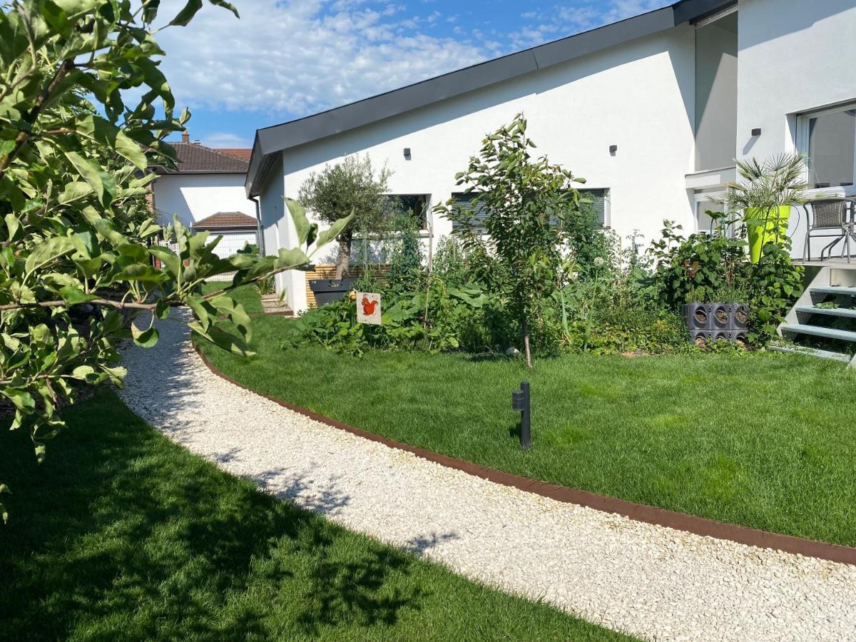 Le Clos Des Pommiers Uffholtz 外观 照片